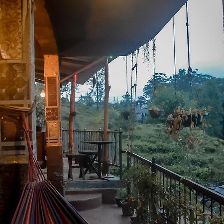 Hostal Tree House إيلا المظهر الخارجي الصورة