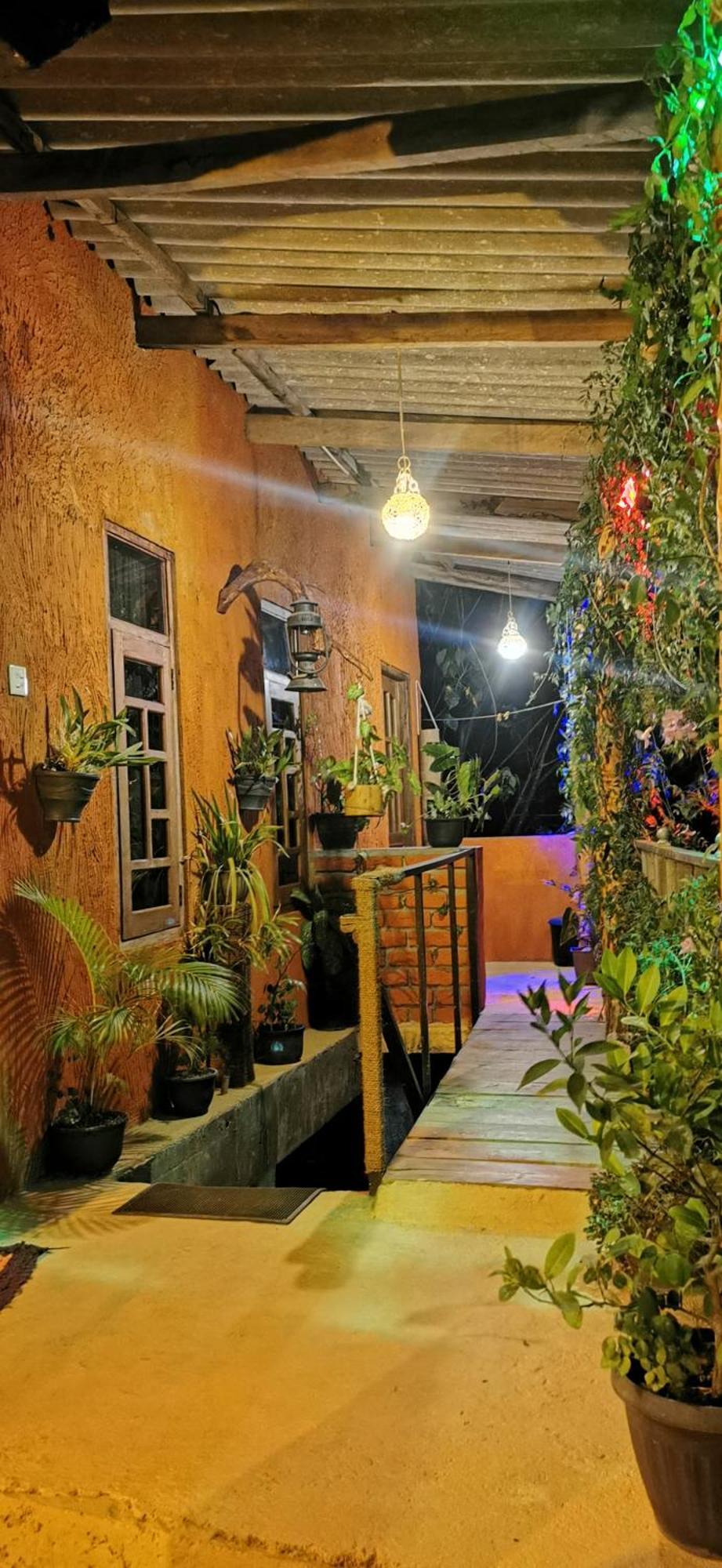 Hostal Tree House إيلا المظهر الخارجي الصورة