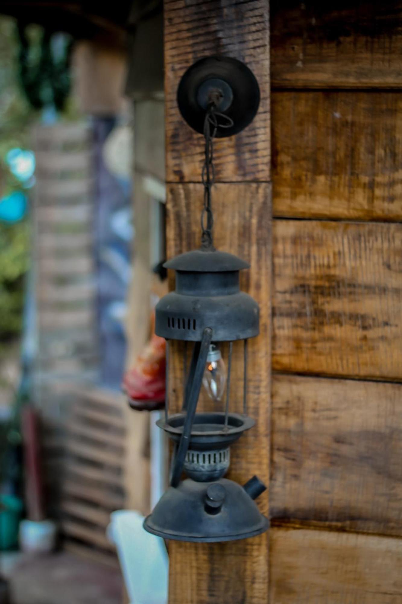 Hostal Tree House إيلا المظهر الخارجي الصورة