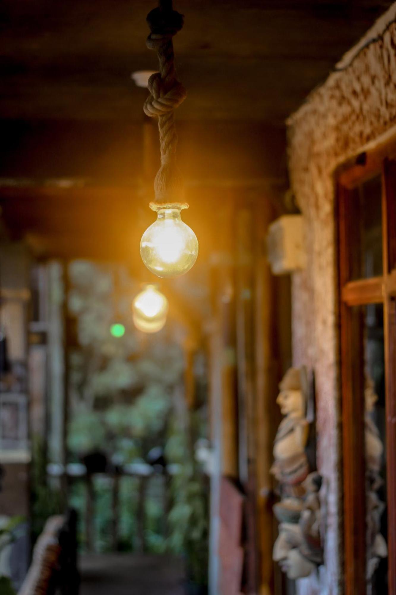 Hostal Tree House إيلا المظهر الخارجي الصورة
