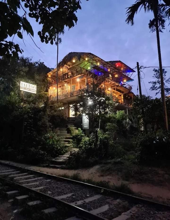 Hostal Tree House إيلا المظهر الخارجي الصورة