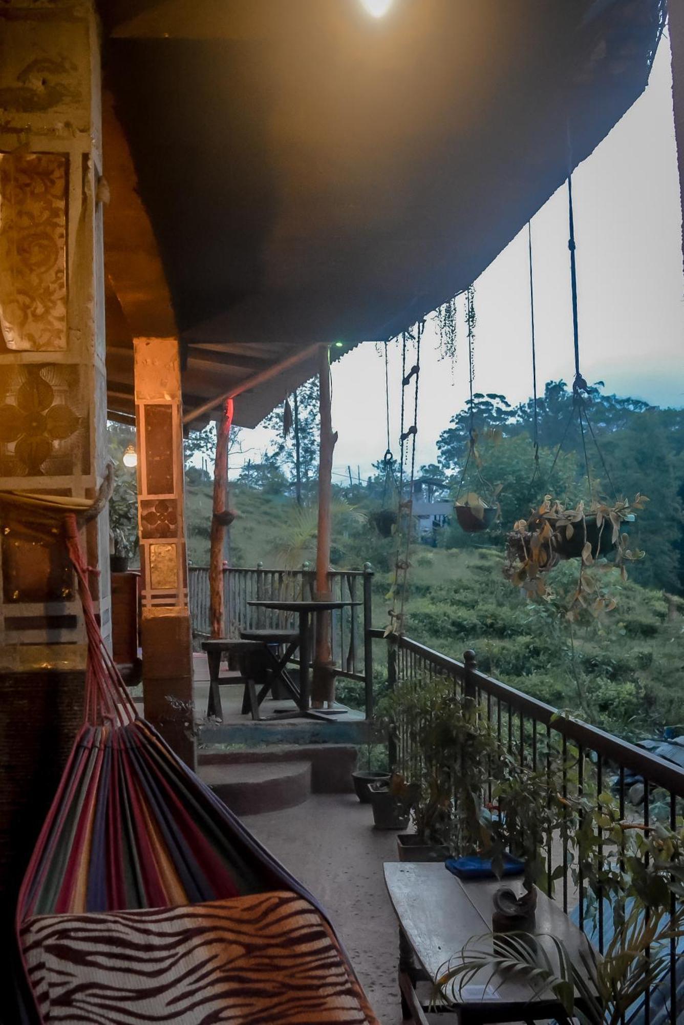 Hostal Tree House إيلا المظهر الخارجي الصورة