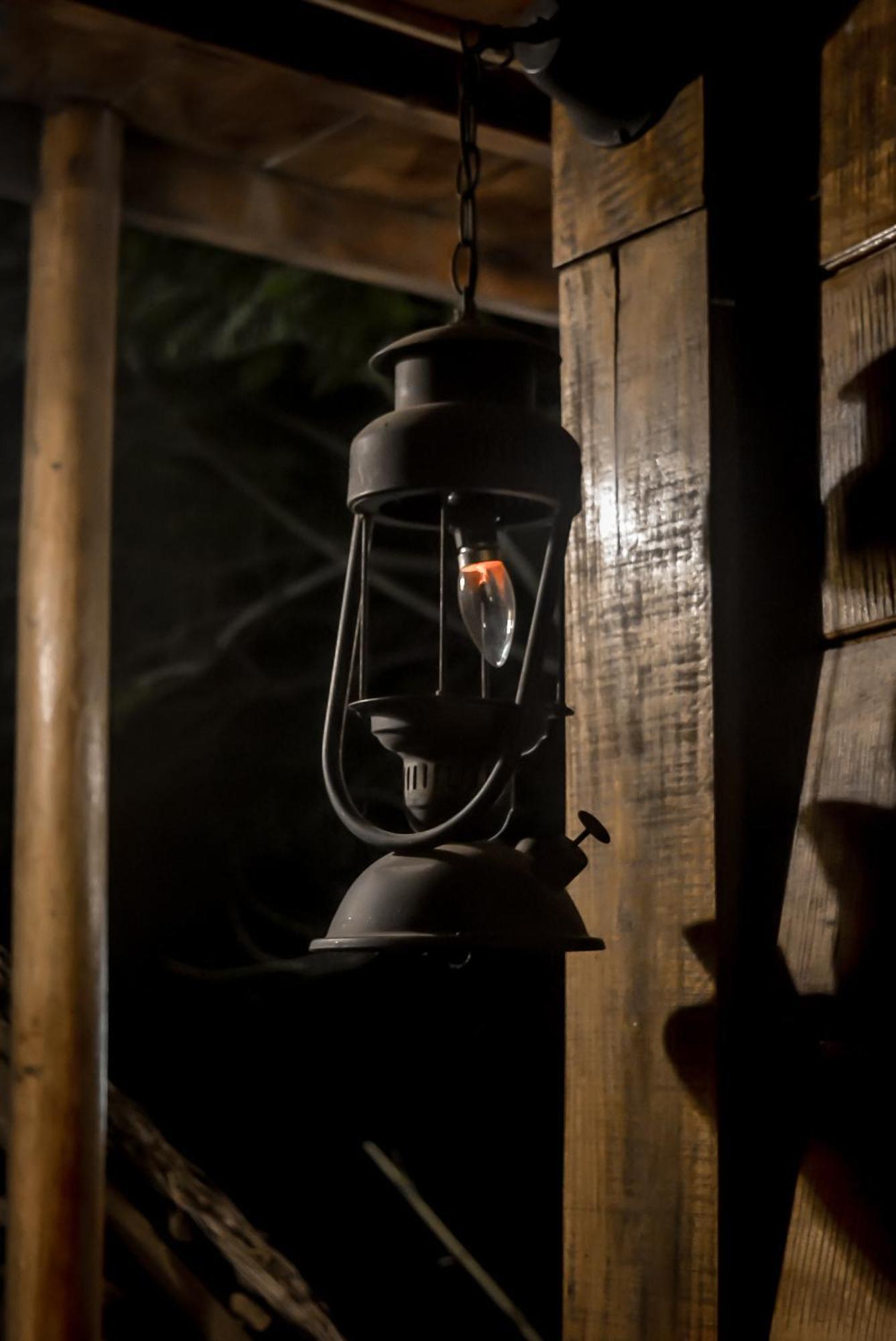 Hostal Tree House إيلا المظهر الخارجي الصورة
