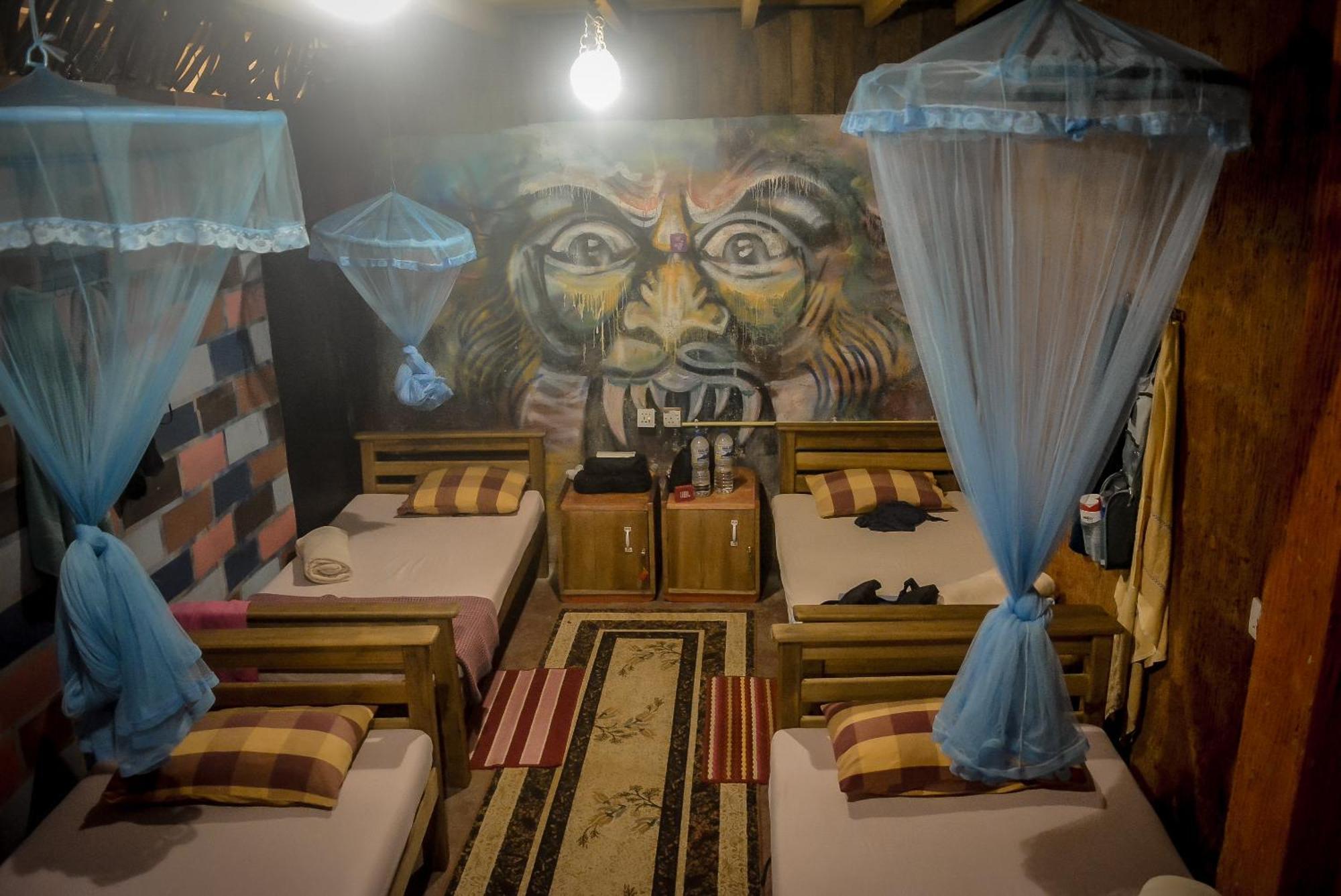 Hostal Tree House إيلا المظهر الخارجي الصورة
