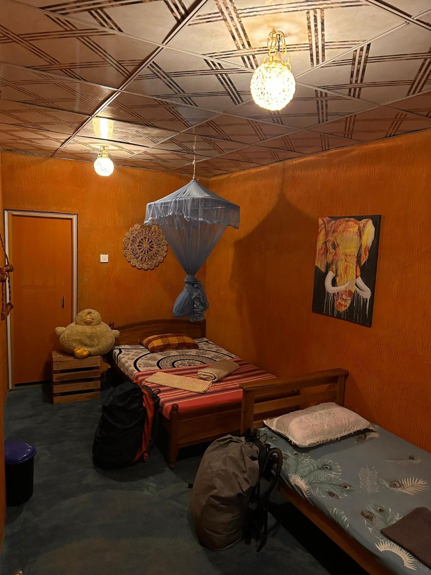 Hostal Tree House إيلا المظهر الخارجي الصورة