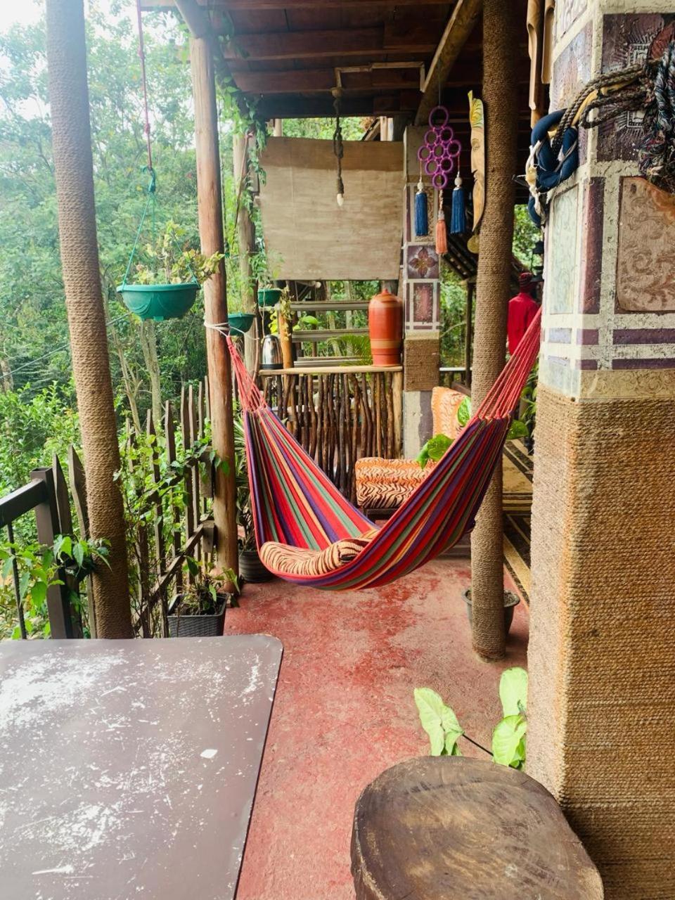 Hostal Tree House إيلا المظهر الخارجي الصورة