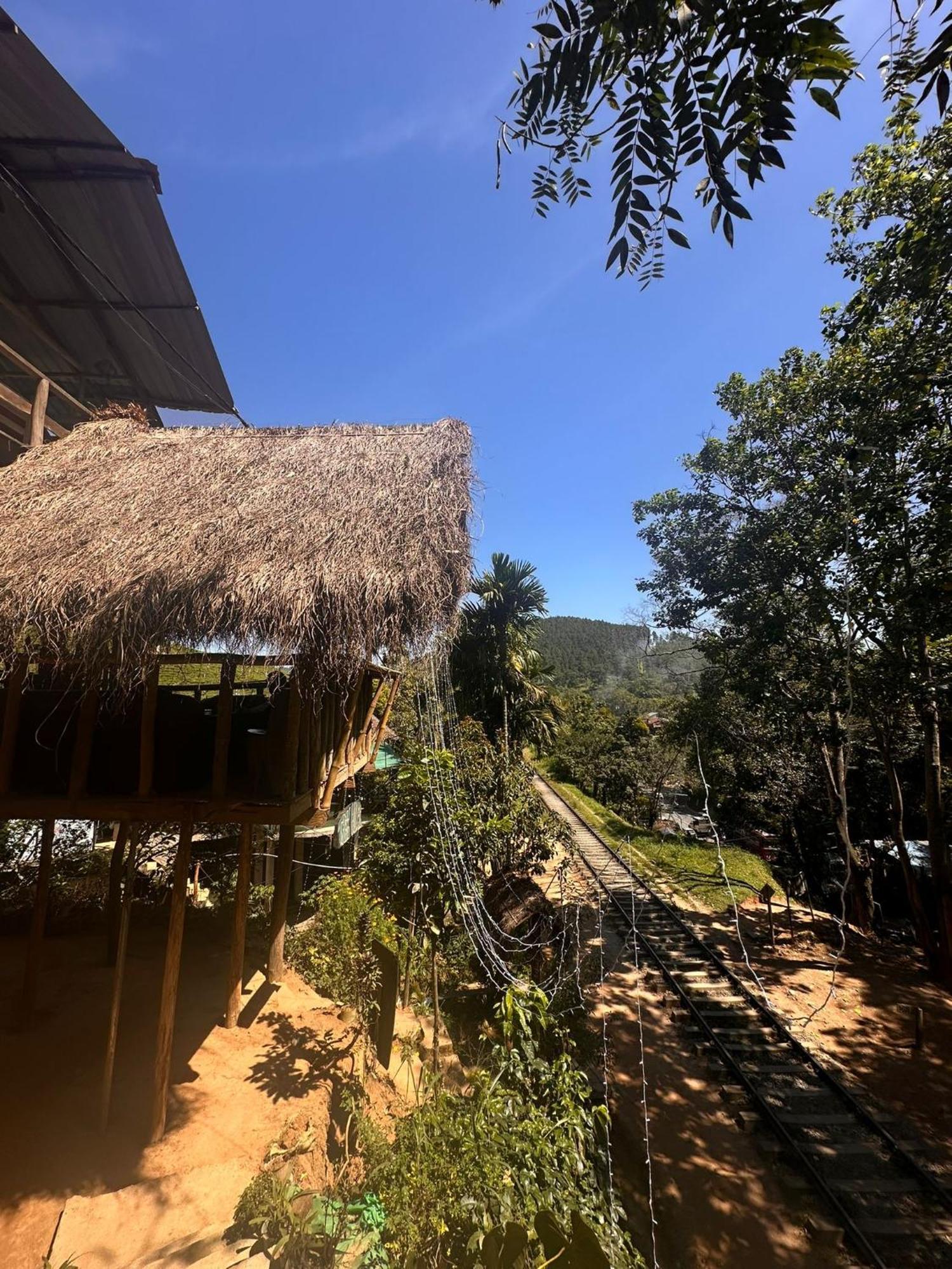 Hostal Tree House إيلا المظهر الخارجي الصورة