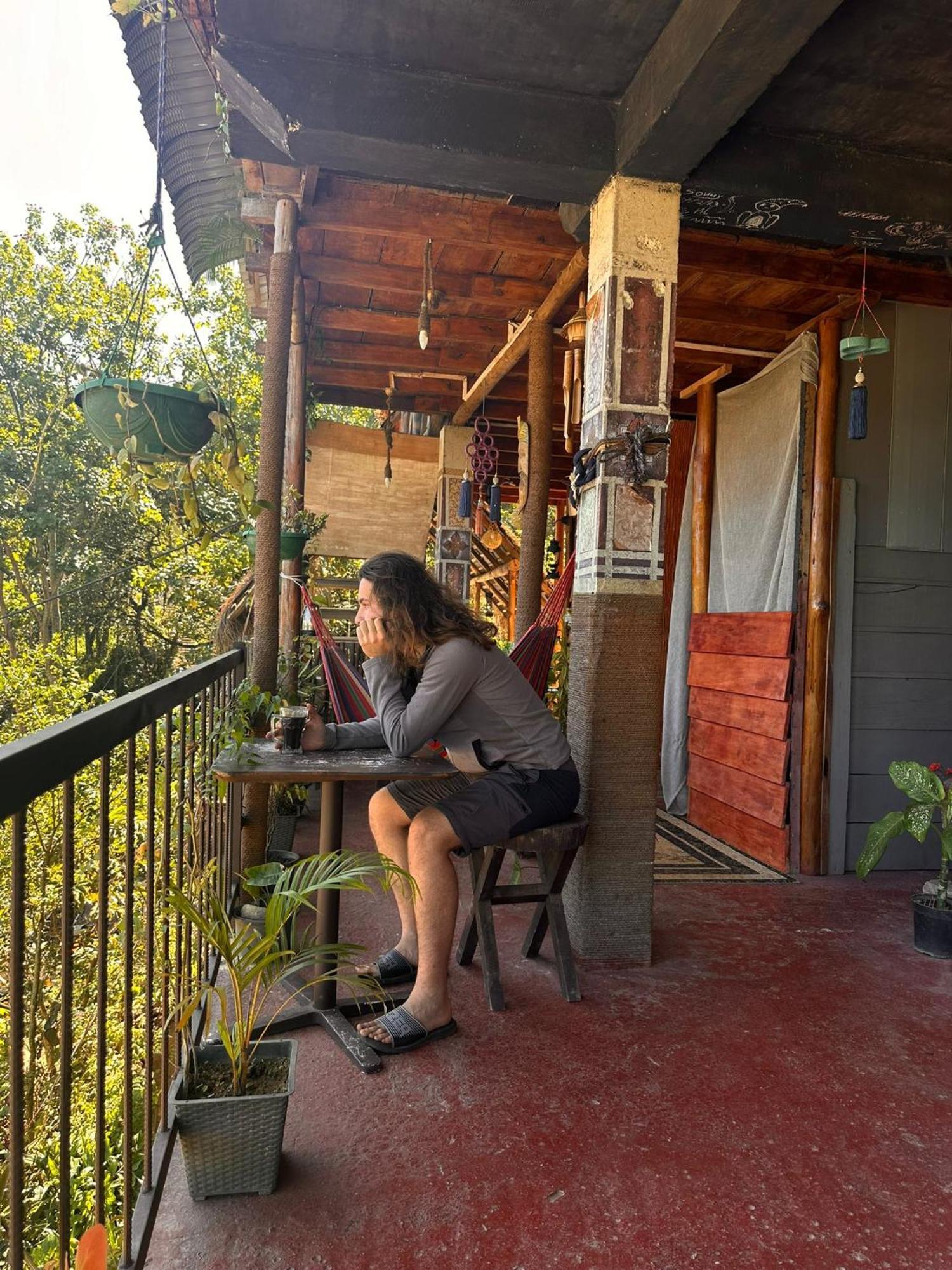 Hostal Tree House إيلا المظهر الخارجي الصورة
